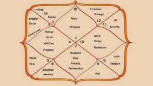 Types Of Vedic Astrology